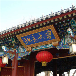 2007年北京大学项目